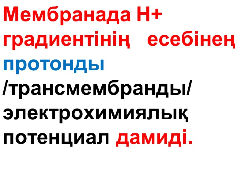 Мембранада Н+ градиентінің   есебінең протонды   /трансмембранды/ электрохимиялық потенциал дамиді.